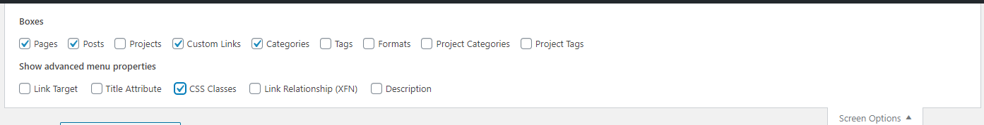 screen options