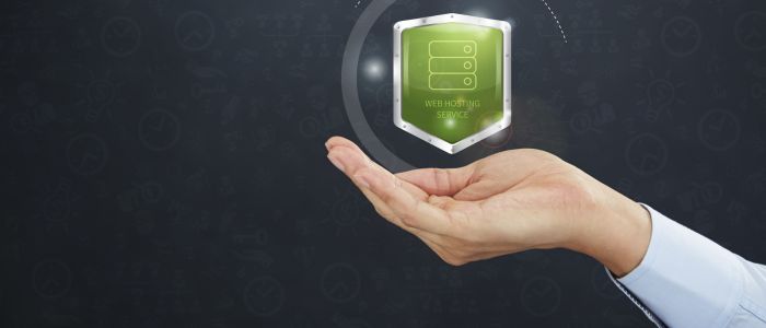 speed up divi website with reliable web hosting