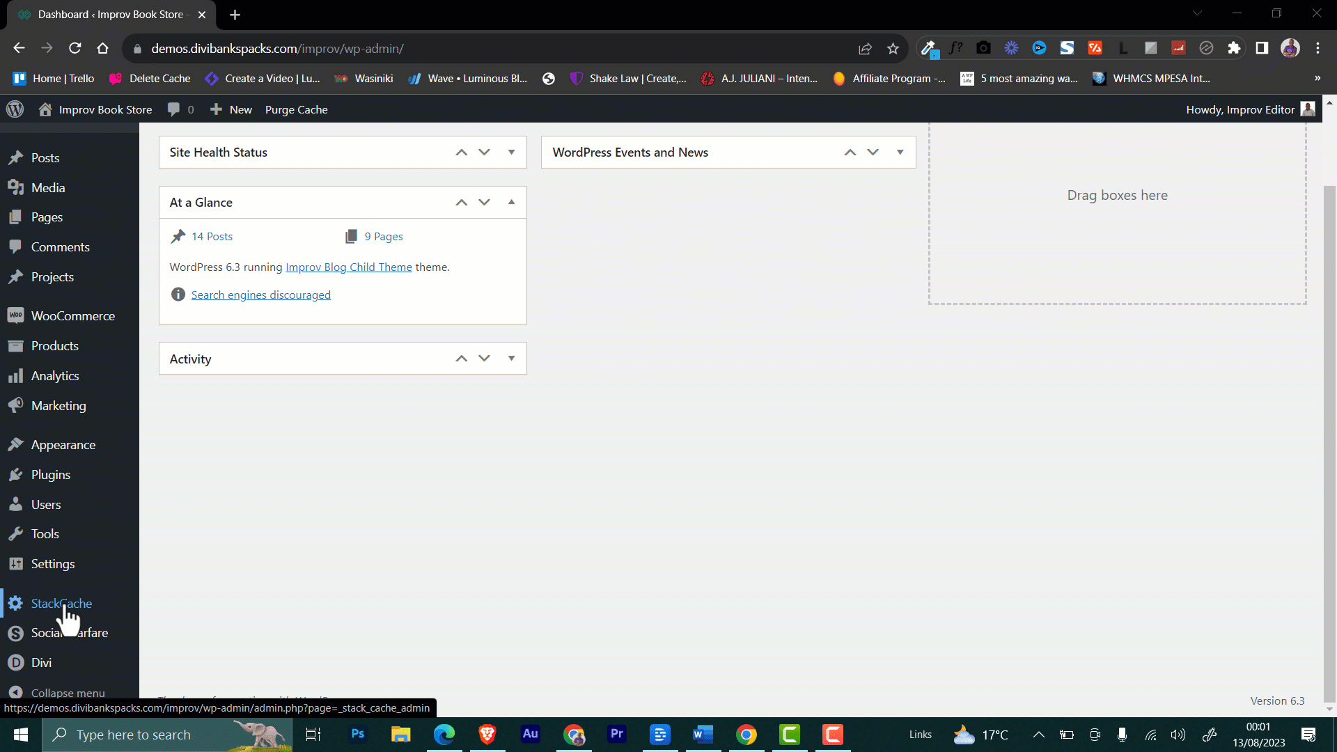 Clear Cache in Divi Theme - Divi Theme Options